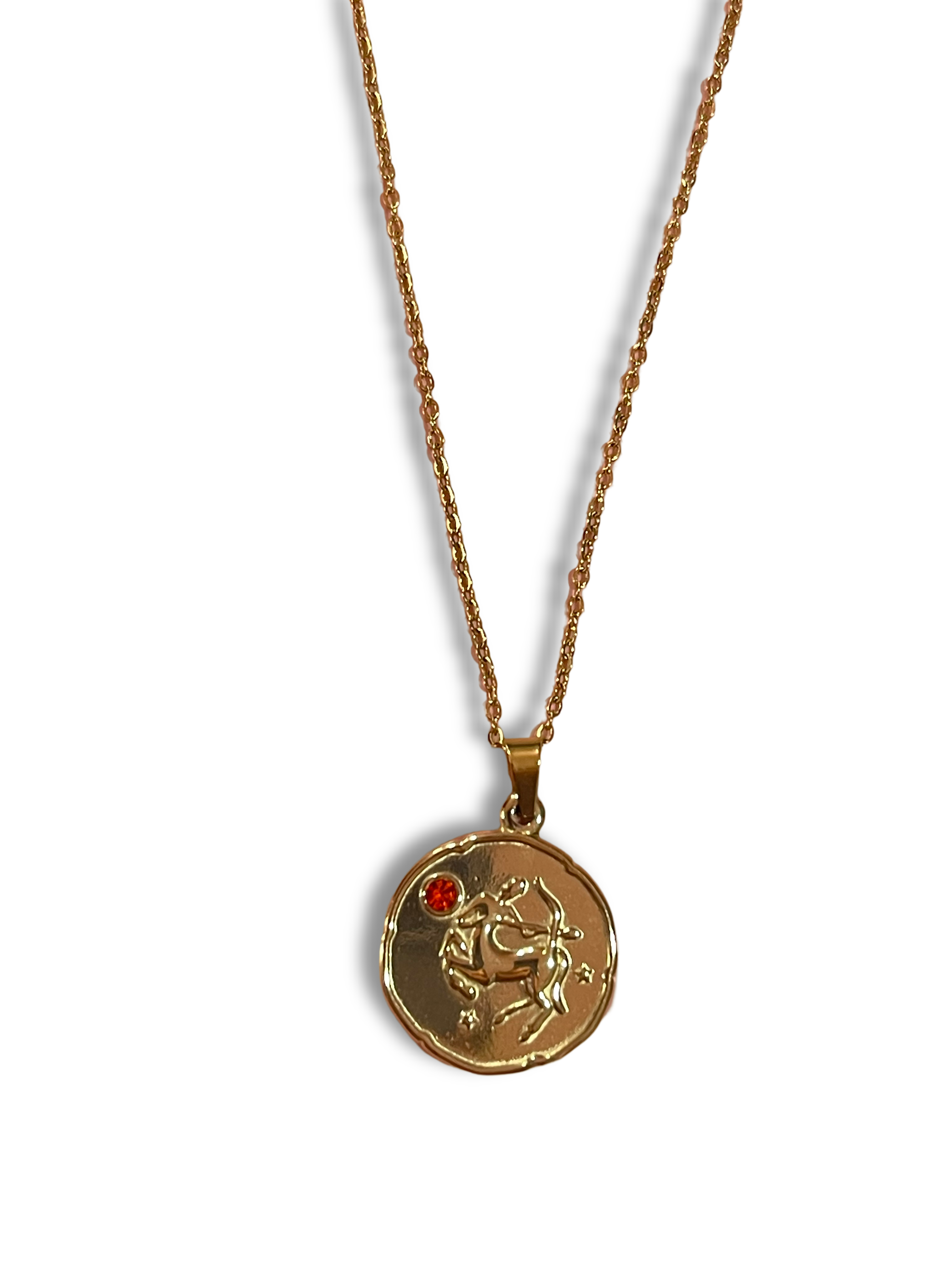 Envogems Zodiac Engraved Stainless Steel Necklace