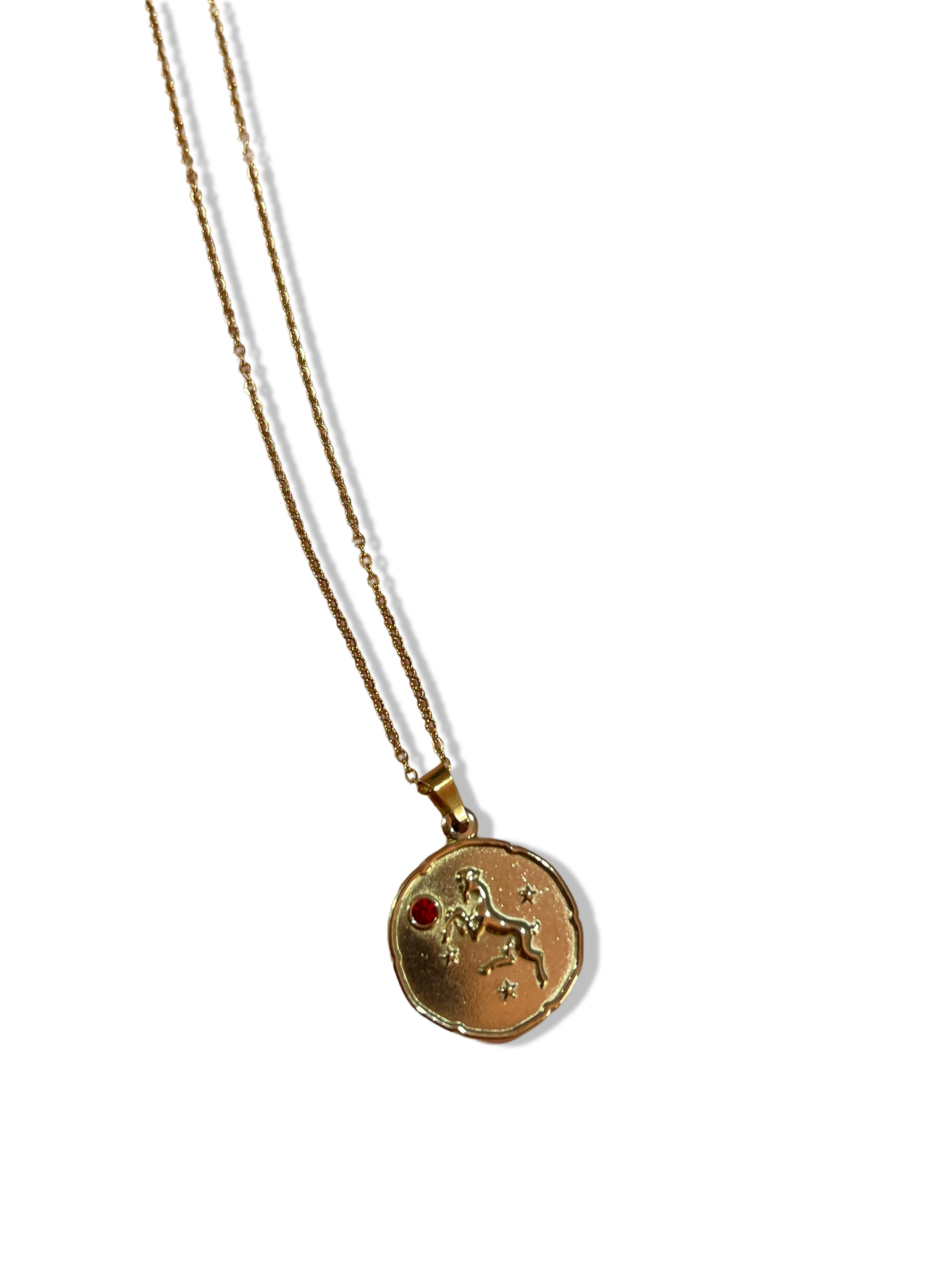 Envogems Zodiac Engraved Stainless Steel Necklace