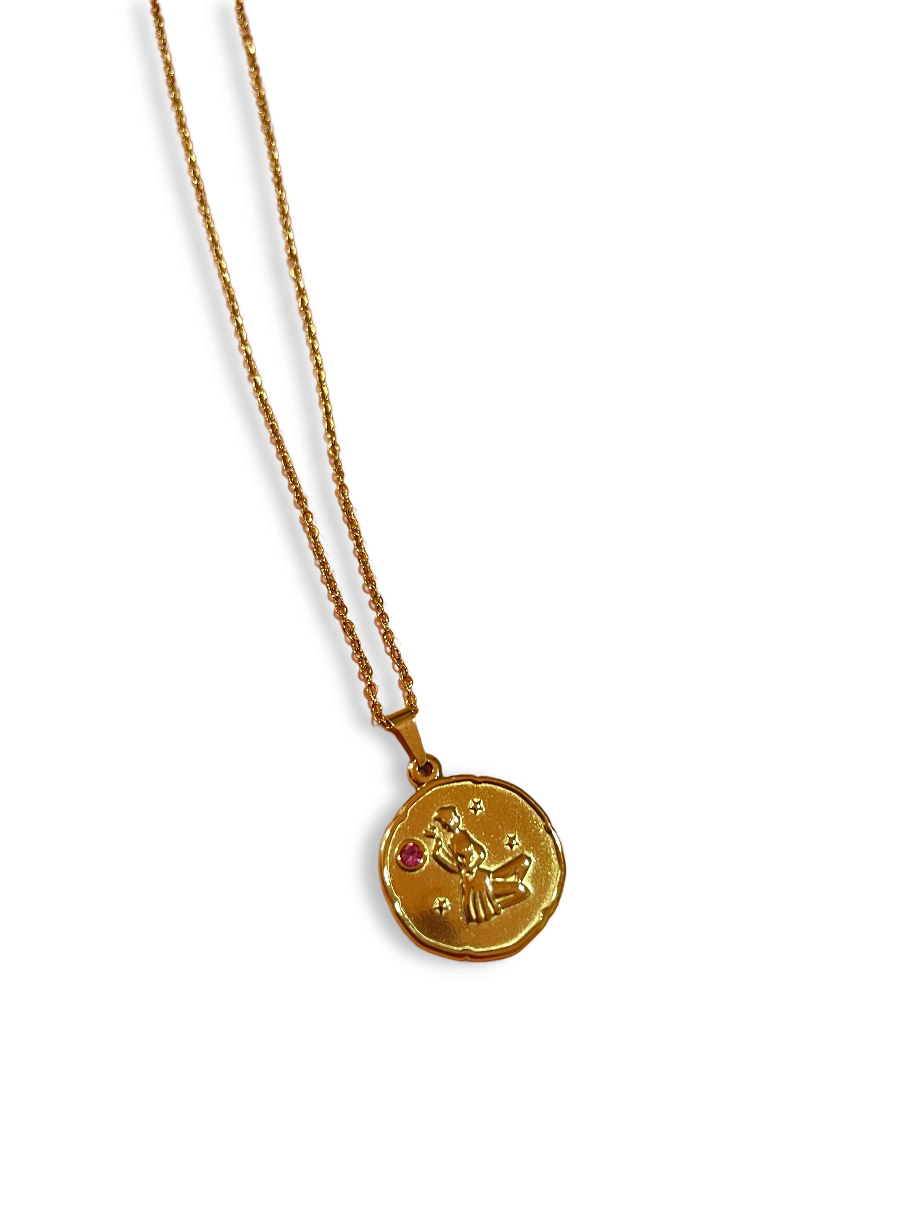 Envogems Zodiac Engraved Stainless Steel Necklace